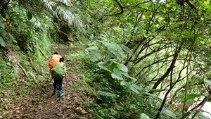 02位於張家莊對岸的古道.JPG 02位於張家莊對岸的古道.JPG