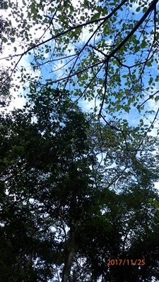 01短暫的藍天.JPG 01短暫的藍天.JPG
