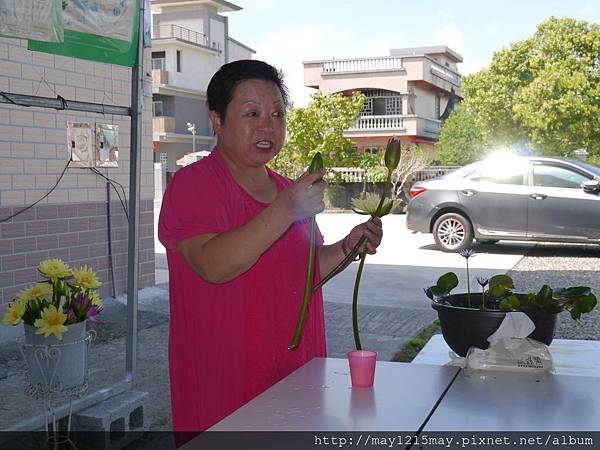 8  宜蘭 採蓮花 隨緣蓮花休閒農莊.JPG