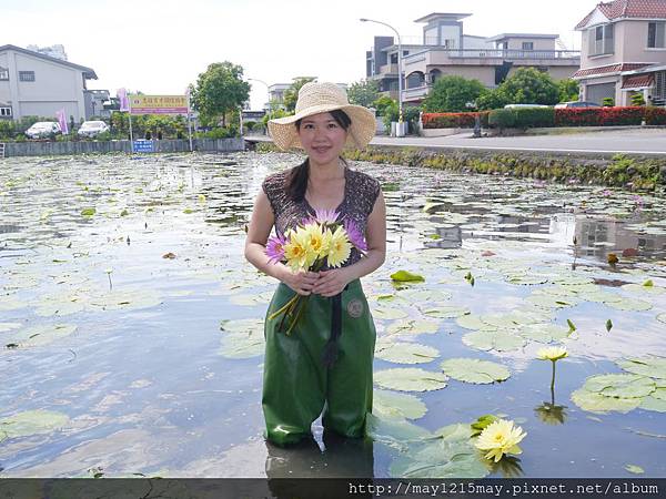 20  宜蘭 採蓮花 隨緣蓮花休閒農莊.JPG