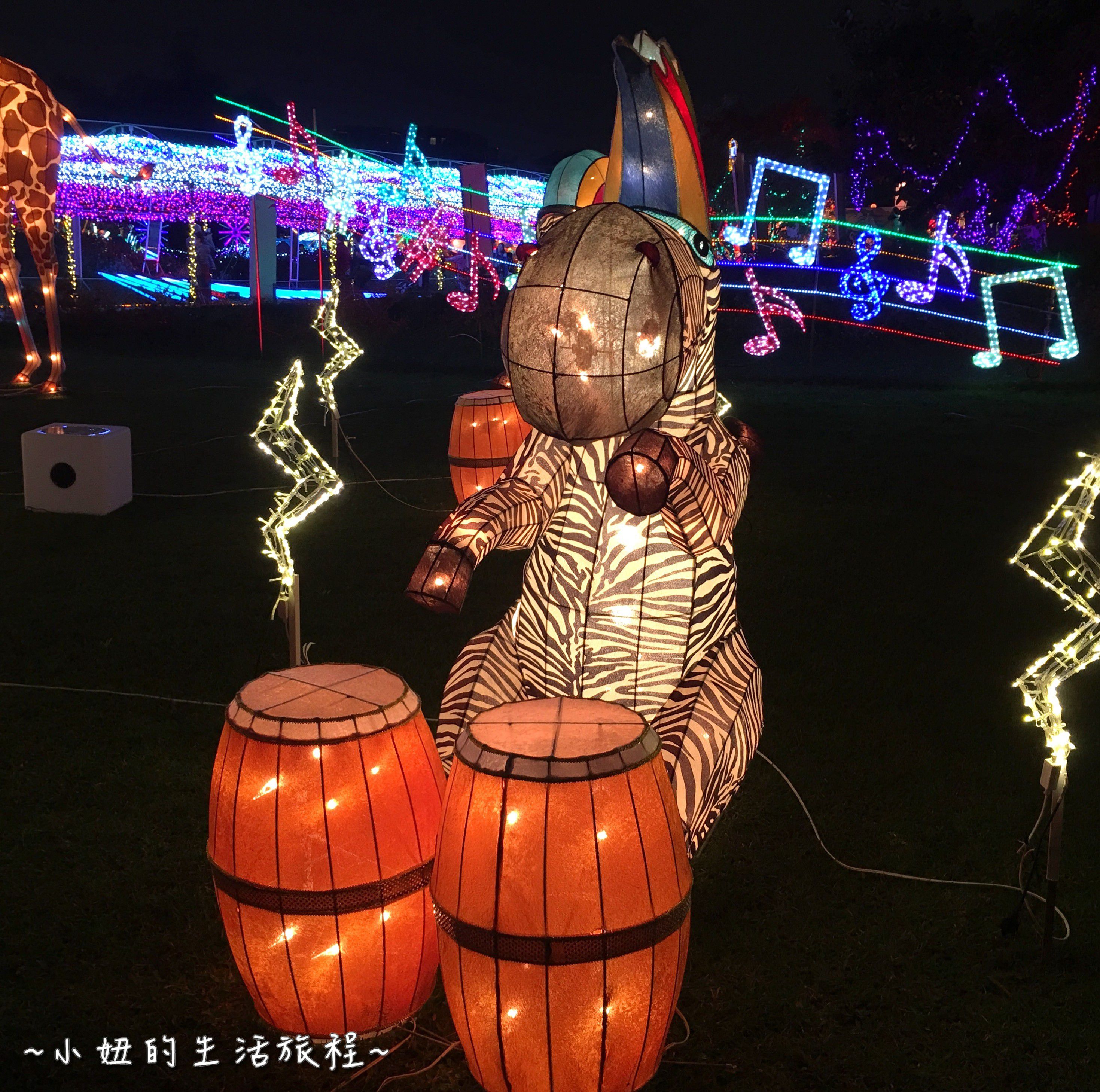 3-9  2016 花博 圓山 花燈 燈會 葫蘆猴 捷運圓山站.jpg
