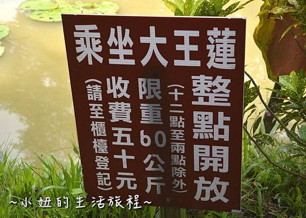 44桃園 蓮花 觀音鄉 新屋 蓮荷緣 用餐 大王蓮 菜單 收費 賞蓮 蓮花季 推薦.jpg