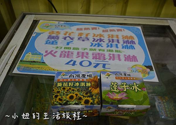 15桃園 向日葵 太陽花 農場 觀音鄉 新屋 推薦 餐廳 賞花  免費 免門票.JPG