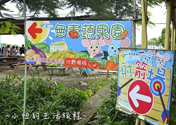 18桃園 向日葵 太陽花 農場 觀音鄉 新屋 推薦 餐廳 賞花  免費 免門票.JPG