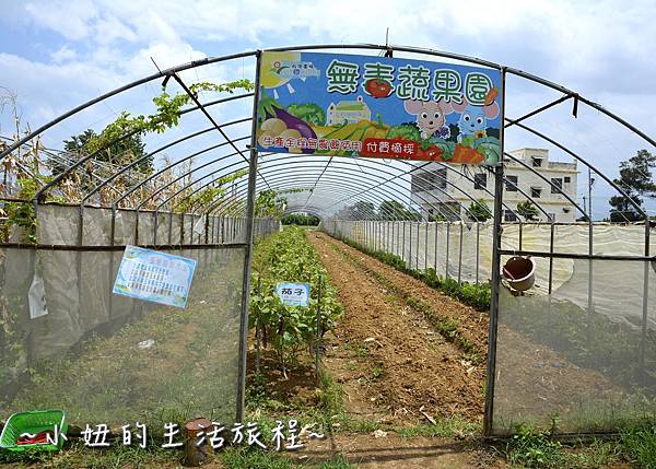 31桃園 向日葵 太陽花 農場 觀音鄉 新屋 推薦 餐廳 賞花  免費 免門票.JPG