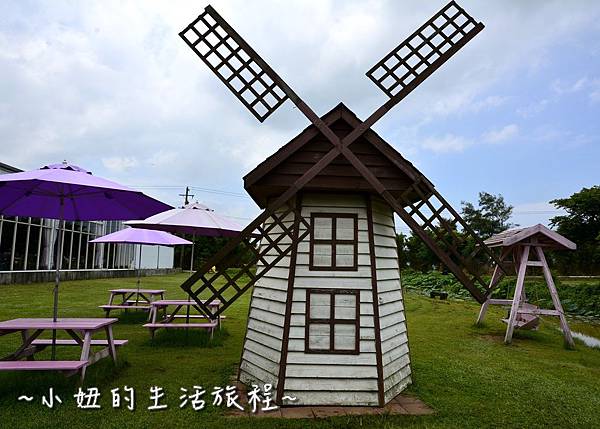 39桃園 向日葵 太陽花 農場 觀音鄉 新屋 推薦 餐廳 賞花  免費 免門票.JPG