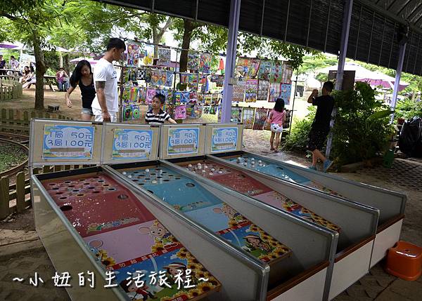 42桃園 向日葵 太陽花 農場 觀音鄉 新屋 推薦 餐廳 賞花  免費 免門票.JPG