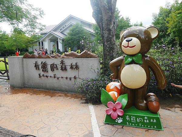 22 花蓮 雲山水 落羽松 東華大學旁 落羽松林 花蓮景點.JPG