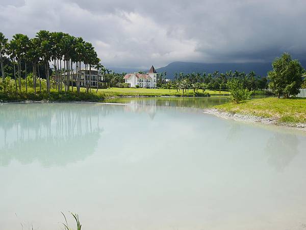 30 花蓮 雲山水 落羽松 東華大學旁 落羽松林 花蓮景點.JPG