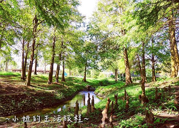 111 宜蘭落羽松 羅東運動公園落羽松 2016 2017 2018 2019 2020 2021 2022.jpg 111 宜蘭落羽松 羅東運動公園落羽松 2016 2017 2018 2019 2020 2021 2022.jpg