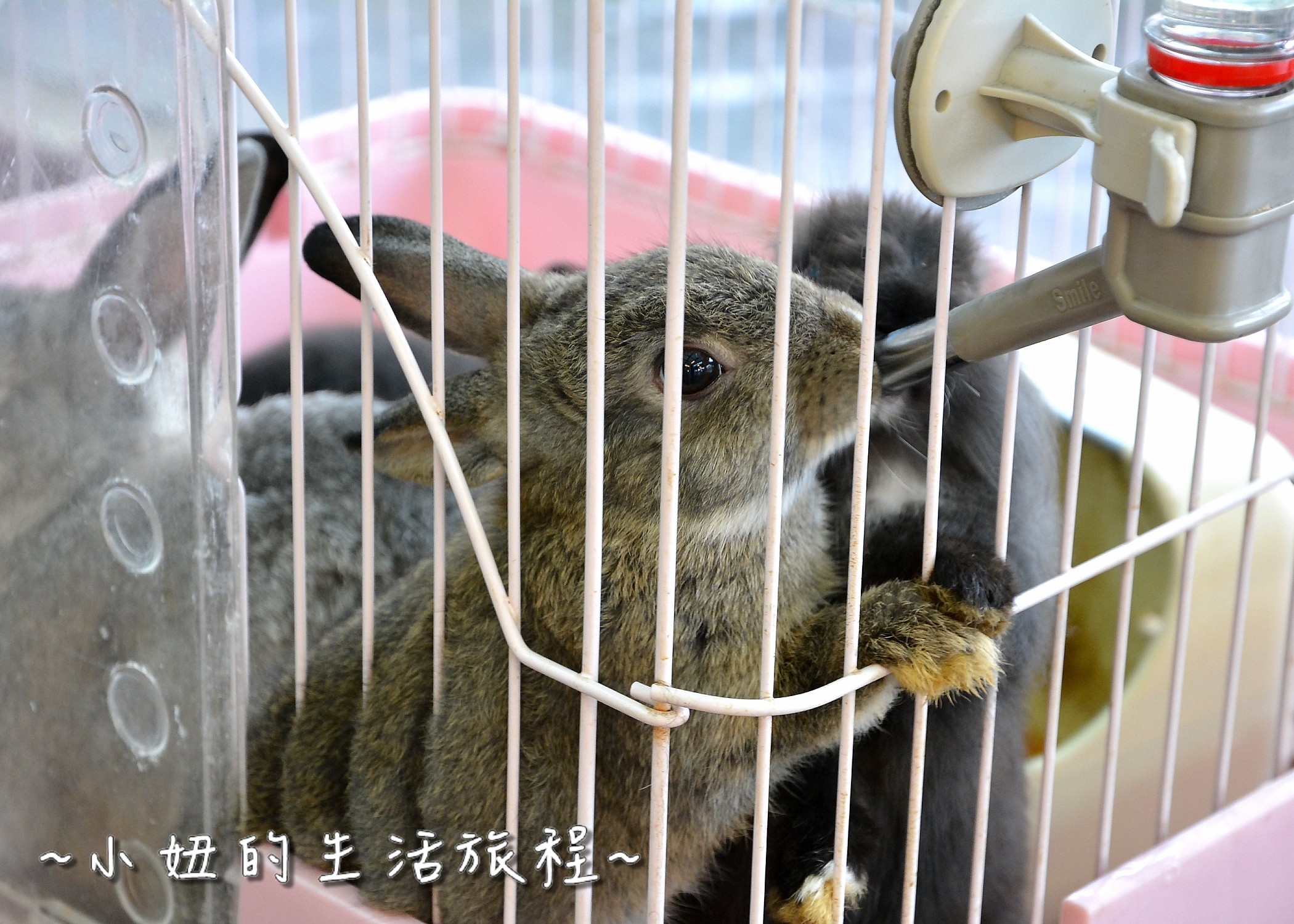 30 淡水民宿 日光行館 淡水高級民宿 淡水下午茶 .jpg