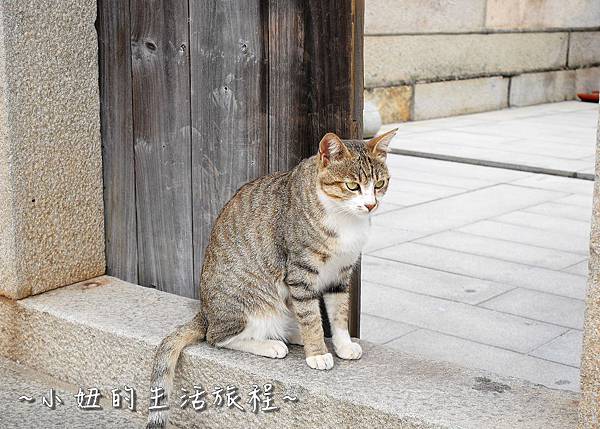 20金門碧山彩繪村 金門彩繪村.jpg