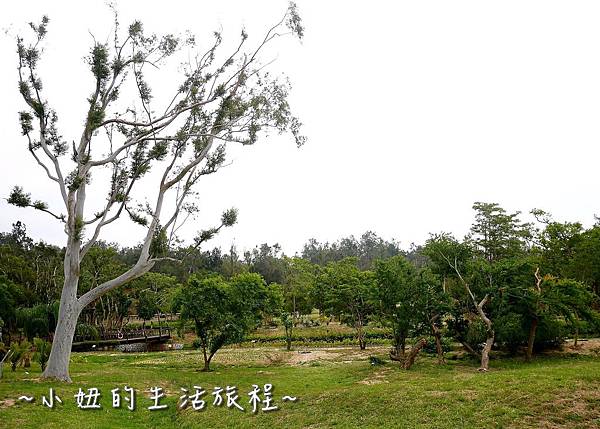 21金門植物園 金門親子景點  金門景點.jpg