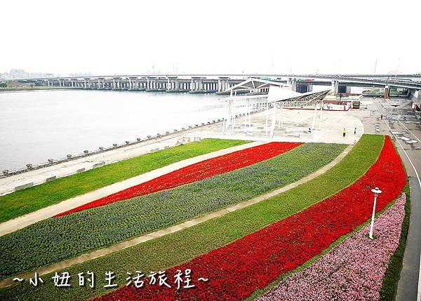 38台北延平河濱公園 賞花 花海 自行車 大稻埕碼頭 迪化休閒運動公園.jpg