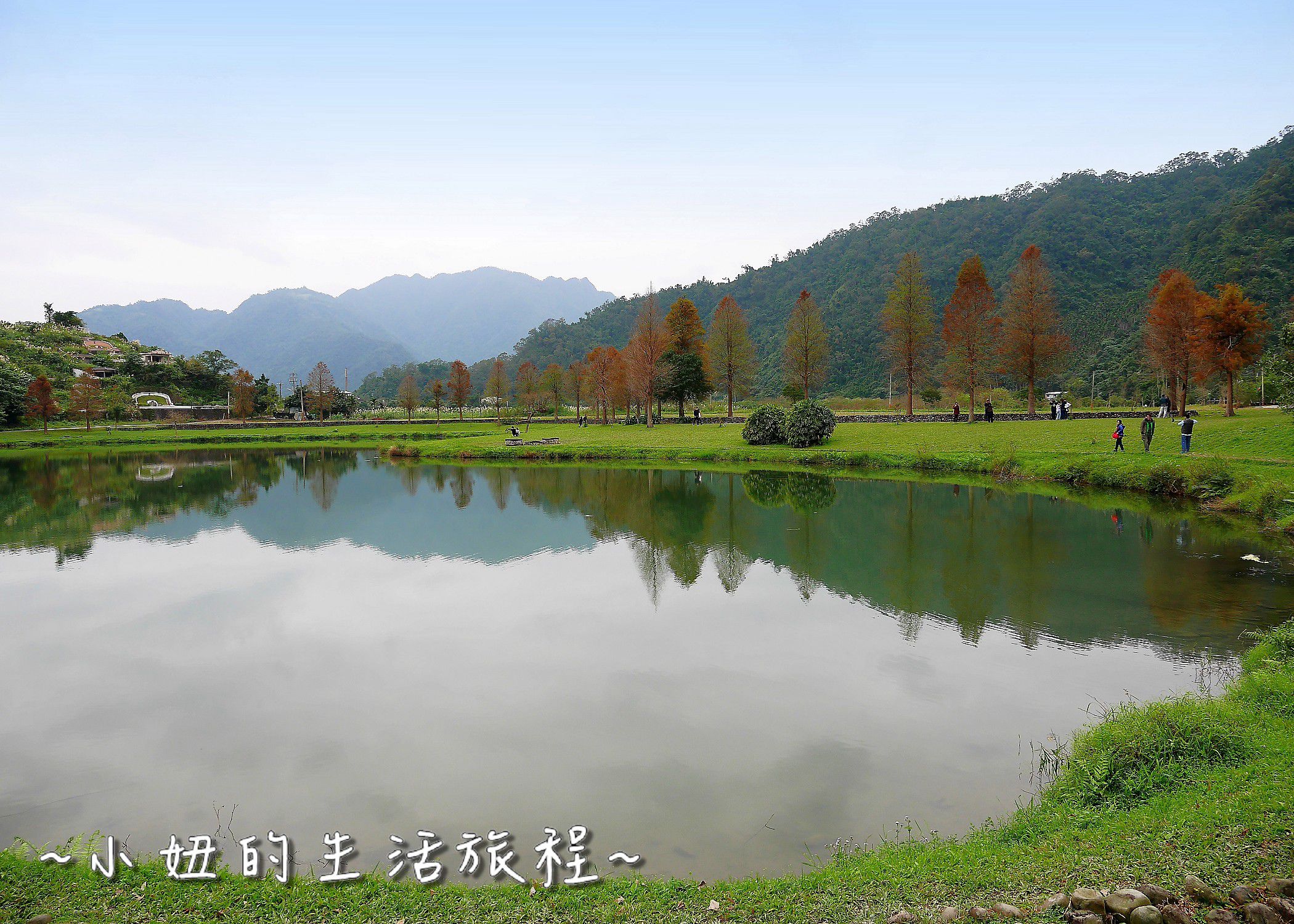 01 宜蘭落羽松 游家農場 安農溪畔 田心橋旁 員山福園湖畔 .JPG