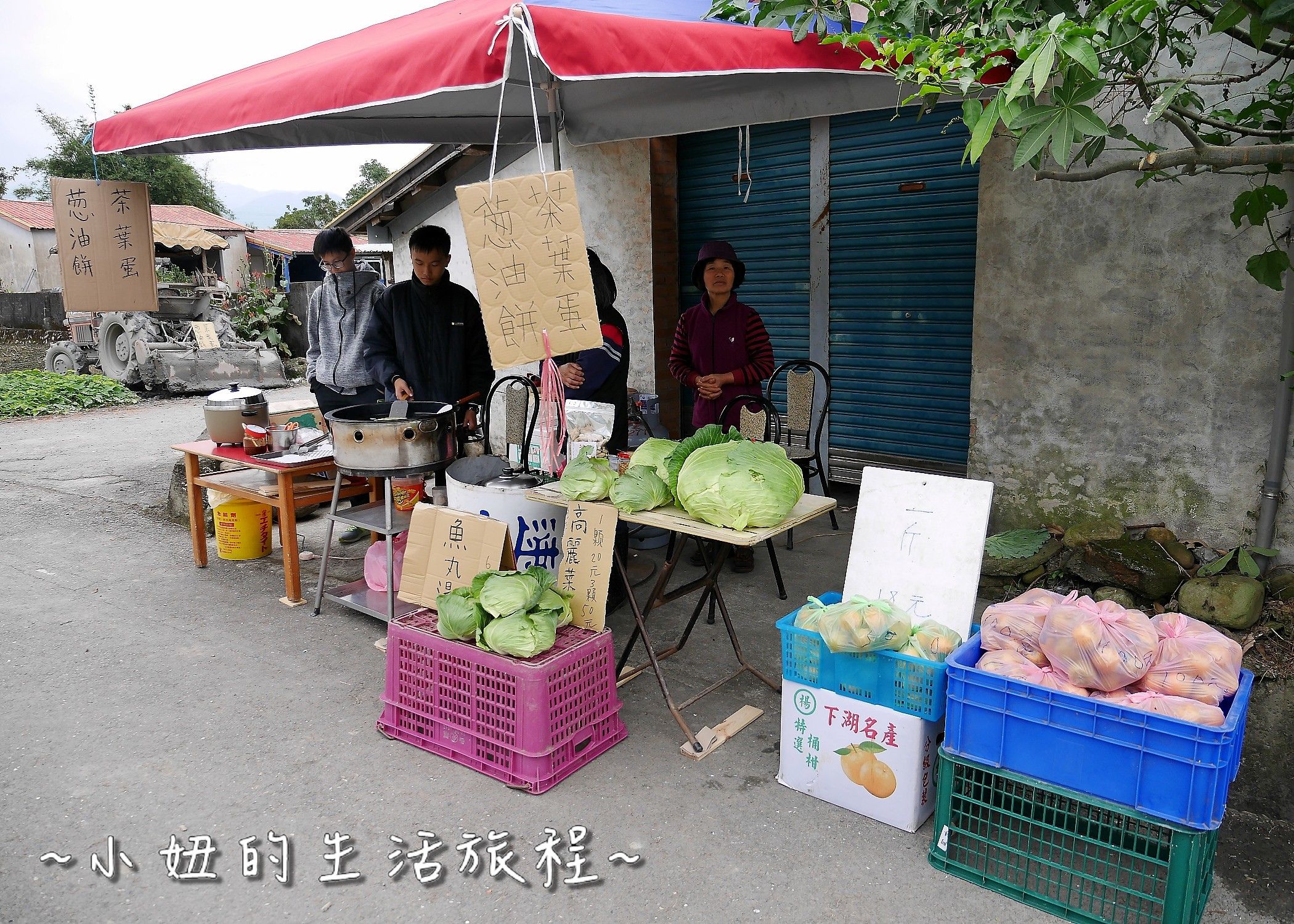 08 宜蘭落羽松 游家農場  安農溪畔   田心橋旁   員山福園湖畔 .JPG