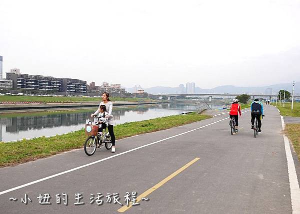 內湖彩虹河濱公園 向日葵 太陽花內湖彩虹河濱公園 向日葵 太陽花P1130716.jpg