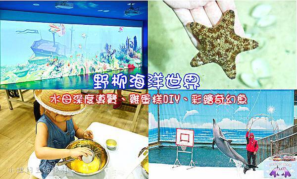 野柳海洋世界首圖-1 野柳海洋世界首圖-1