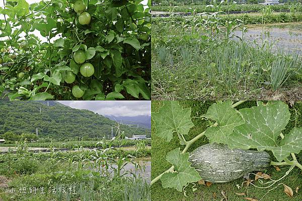 花蓮民宿 花田雅筑 -41.jpg