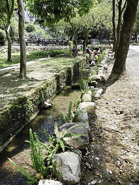 天和公園,天母天和公園,天母特色公園-7.jpg