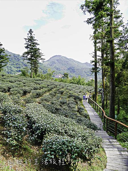 嘉義太平天梯,太平雲梯,嘉義,天空步道,梅山-28.jpg