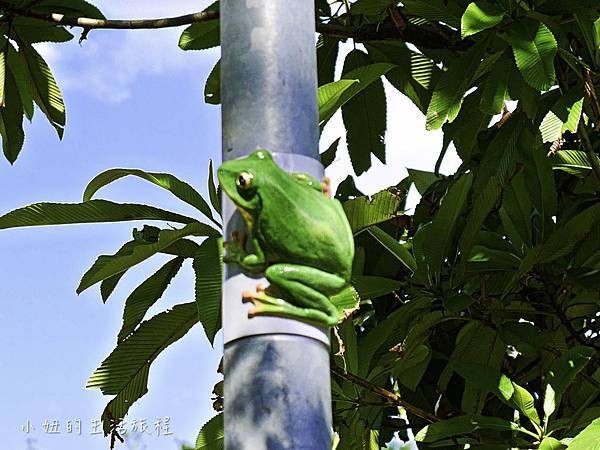 中強公園-5.jpg 中強公園-5.jpg