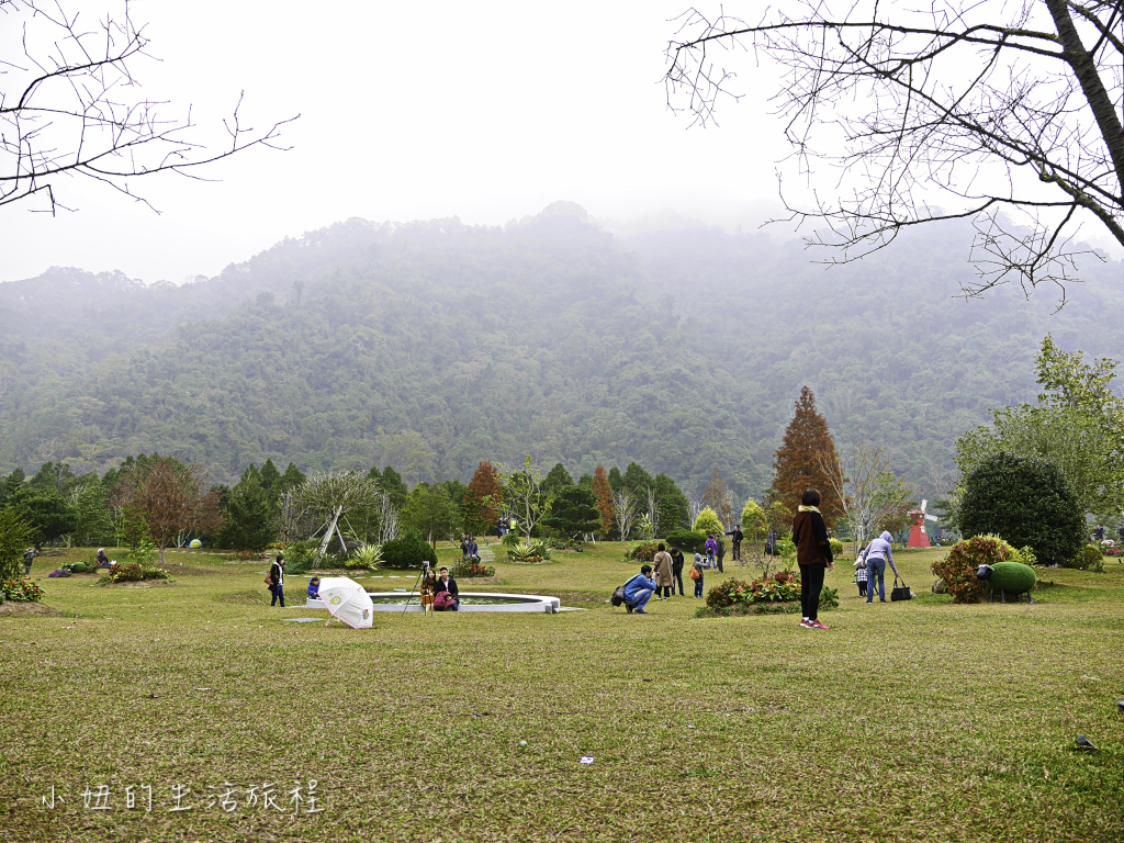 南庄雲水度假森林,落羽松,新竹-1.jpg