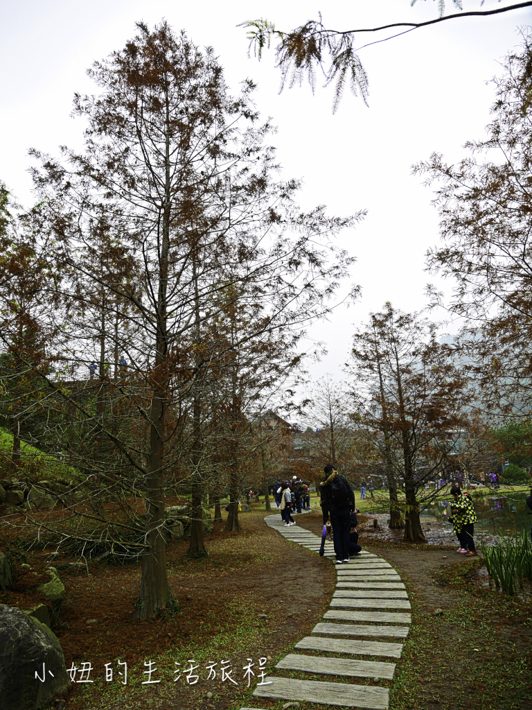 南庄雲水度假森林,落羽松,新竹-8.jpg