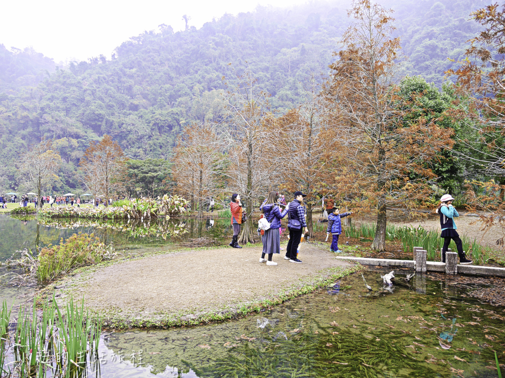 南庄雲水度假森林,落羽松,新竹-10.jpg