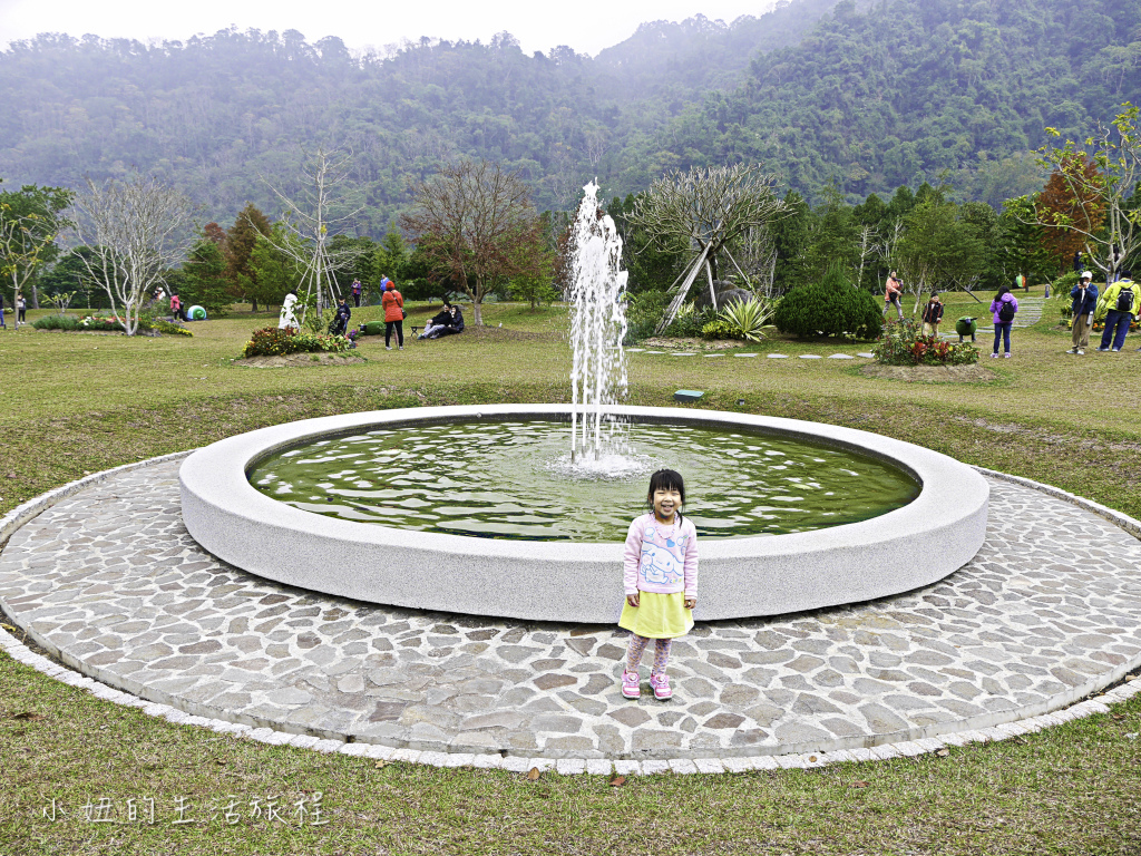 南庄雲水度假森林,落羽松,新竹-27.jpg