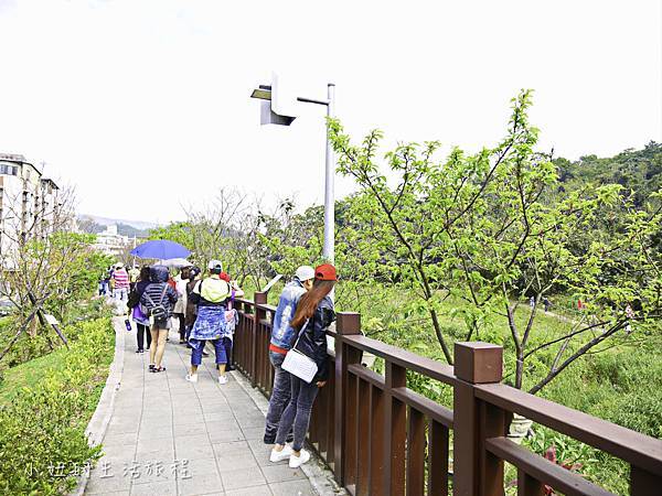 樂活公園,內湖特色公園,內溝溪,賞櫻,內湖,櫻花-23