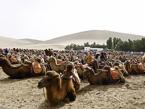 青海旅遊,莫高窟,月牙泉,又見敦煌-7 青海旅遊,莫高窟,月牙泉,又見敦煌-7