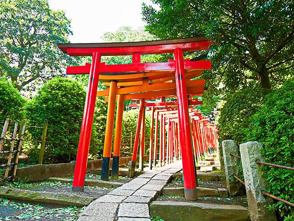 東京景點 根津神社 千本鳥居 最受外國人喜愛的神社 根津站 千馱木站 東大前站 小妞的生活旅程 痞客邦 東京景點 根津神社 千本鳥居 最受外國人喜愛的神社 根津站 千馱木站 東大前站 小妞的生活旅程 痞客邦