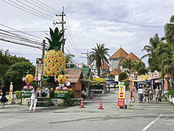 名護鳳梨公園,水果樂園-1.jpg