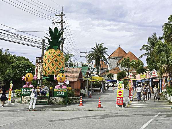 「名護鳳梨園」的圖片搜尋結果