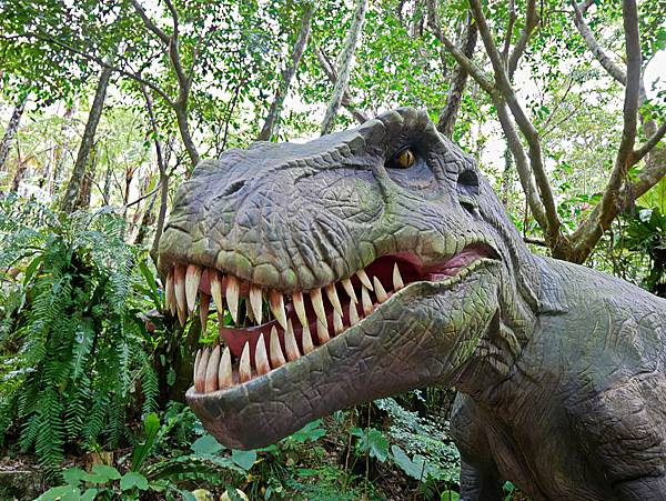 沖繩恐龍,dino恐龍公園-25.jpg 沖繩恐龍,dino恐龍公園-25.jpg