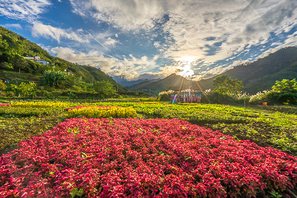 部落山水輕旅行 桃園復興一日遊 尋根atayal 小妞的生活旅程 痞客邦