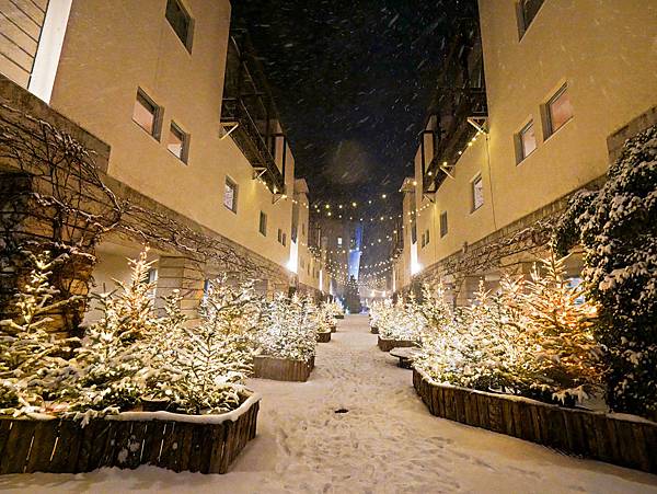 星野集團 RISONARE 山梨八岳,滑雪,品酒-35.jpg