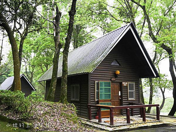 東勢林場 螢火蟲 看恐龍 泡湯 住宿 露營 交通 餐廳 油桐花 櫻花 小妞的生活旅程 痞客邦