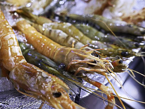 上和町,新店-27.jpg 上和町,新店-27.jpg