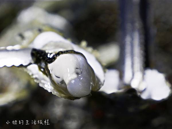 上和町,新店-49.jpg 上和町,新店-49.jpg