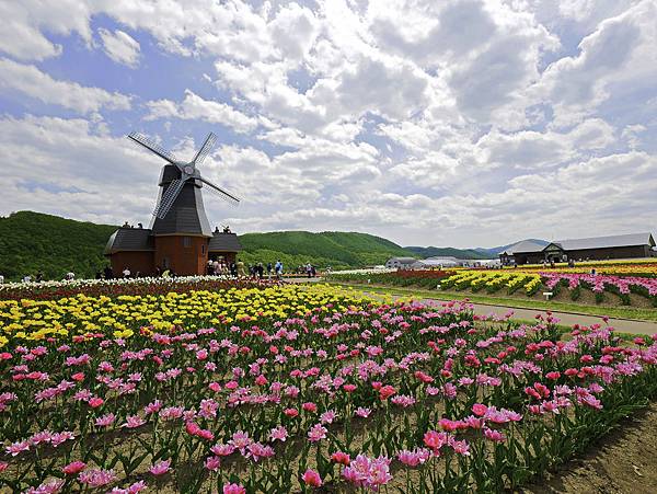 上湧別鬱金香花園 -13.jpg