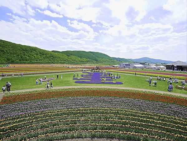 上湧別鬱金香花園 -15.jpg