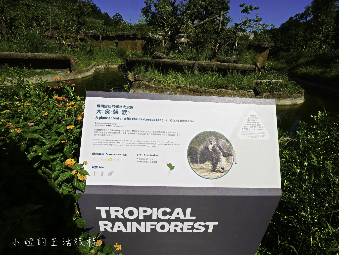 木柵動物園,穿山甲館,熱帶雨林館,2019-79.jpg