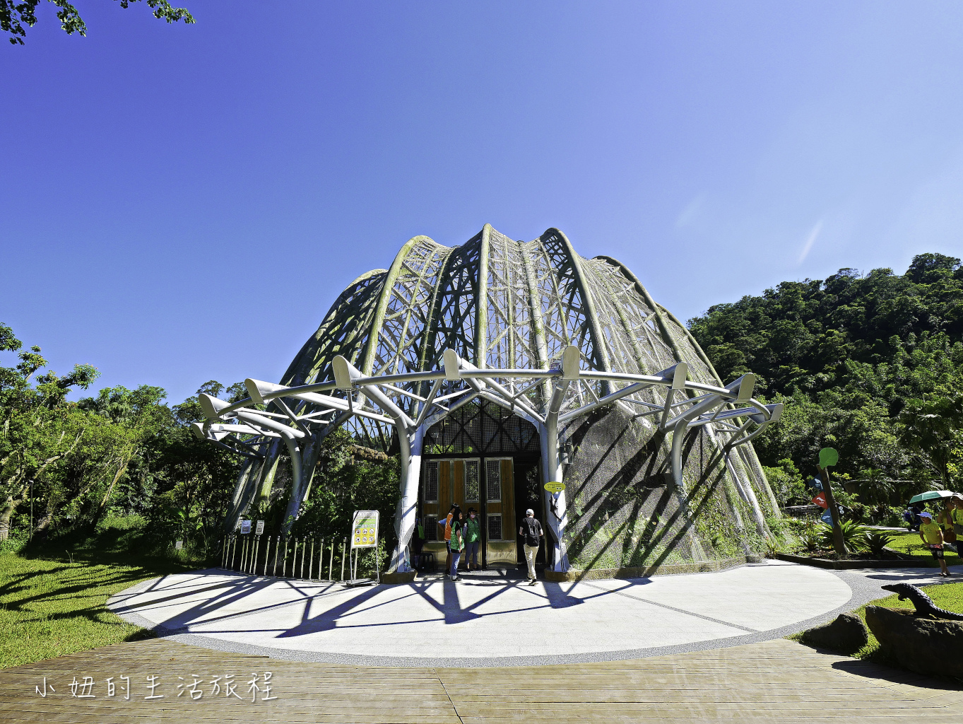 木柵動物園,穿山甲館,熱帶雨林館,2019-83.jpg