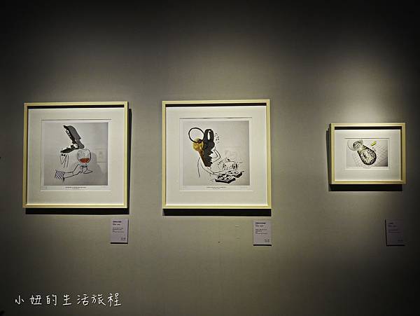 奇美博物館,影子特展-6.jpg