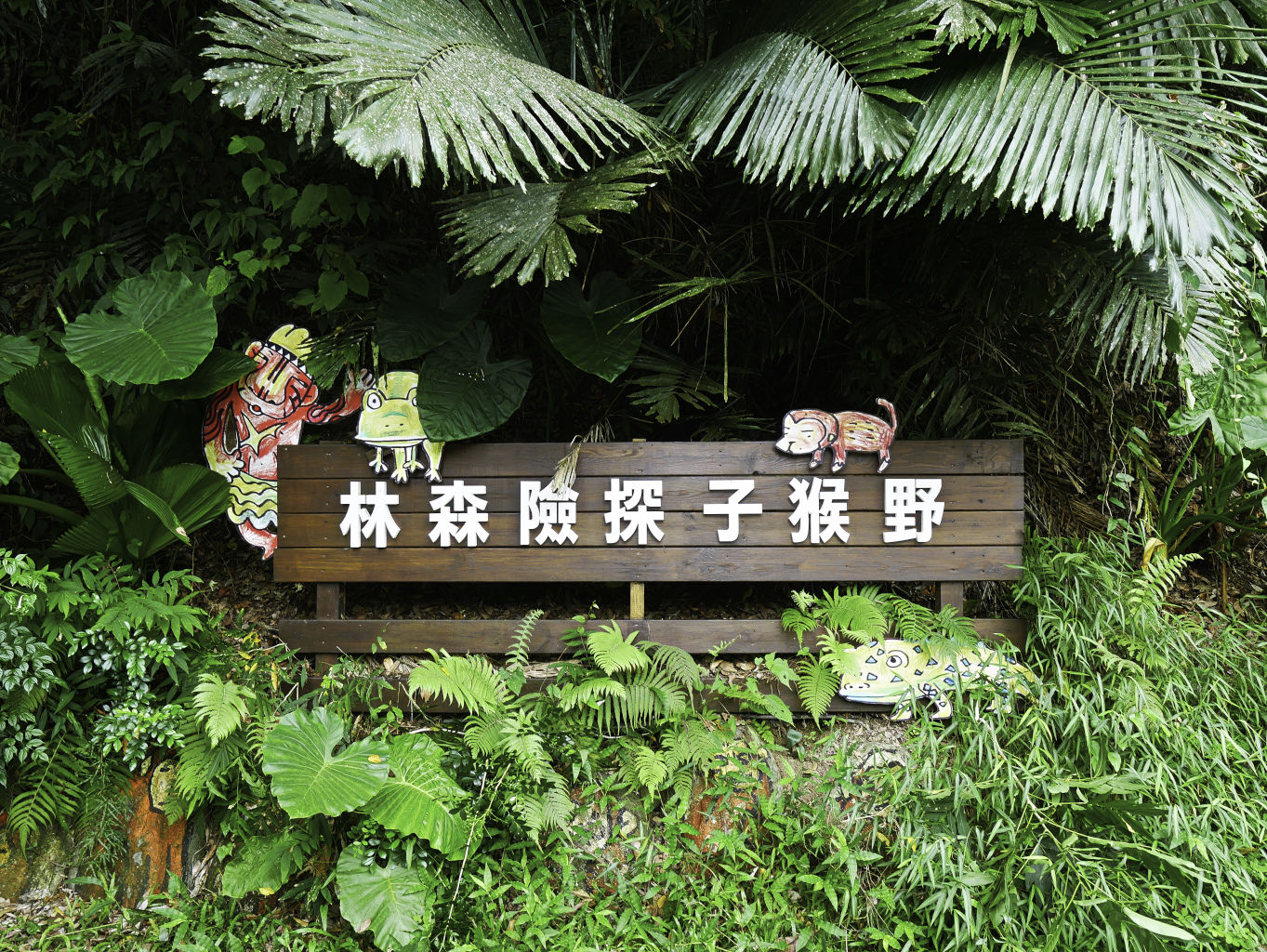 野猴子森林探險-1.jpg
