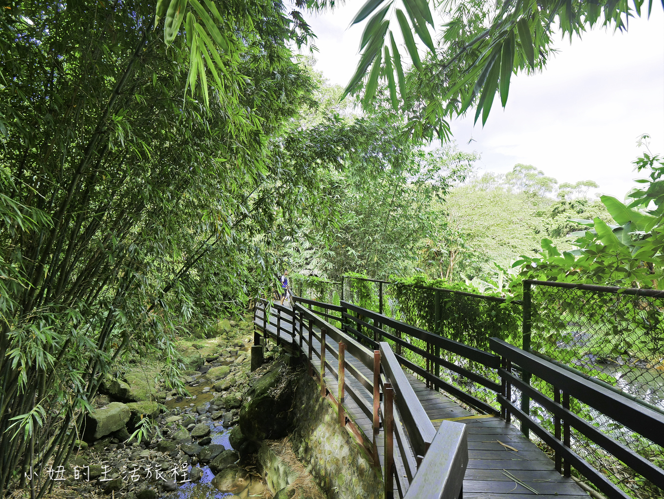 石壁寮溪步道,朝山步道,承天禪寺,桐花公園,斬龍山遺址文化公園-28.jpg