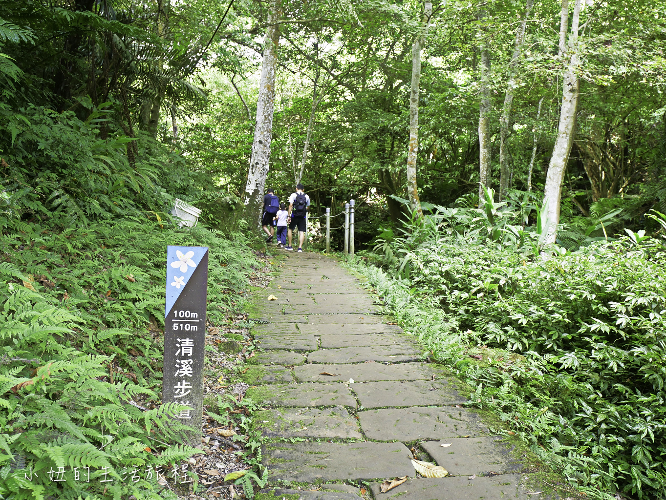 石壁寮溪步道,朝山步道,承天禪寺,桐花公園,斬龍山遺址文化公園-31.jpg