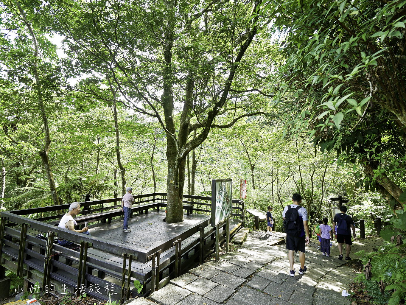 石壁寮溪步道,朝山步道,承天禪寺,桐花公園,斬龍山遺址文化公園-43.jpg